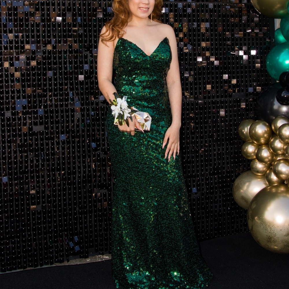 Fashion Nova Elegant Green Sequin Gown